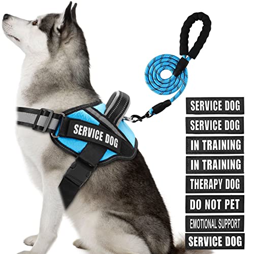Animire Service-Hundegeschirr und Leine, Set mit 10 reflektierenden Flicken mit weich gepolstertem Griff für kleine, mittelgroße und extra große Hunde (Hellblau, XL)