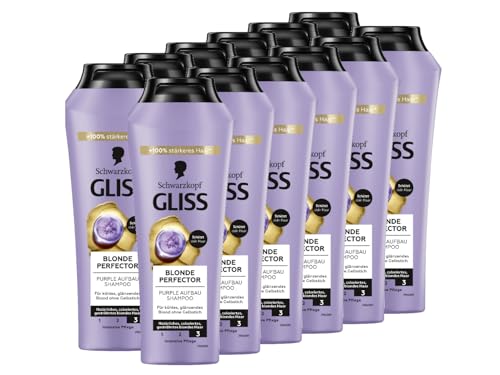Gliss Blonde Perfector Purple Shampoo (12x 250 ml), Anti-Gelbstich-Effekt für Natürlich Blondes und Gefärbtes Haar, Mit Peptiden & Blaubeer-Extrakt
